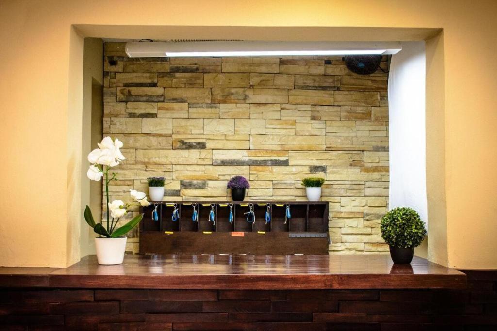 Hotel Playa Y Mar Suites - Avenida Quinta - Only 1 Block From Beach!!! 3*